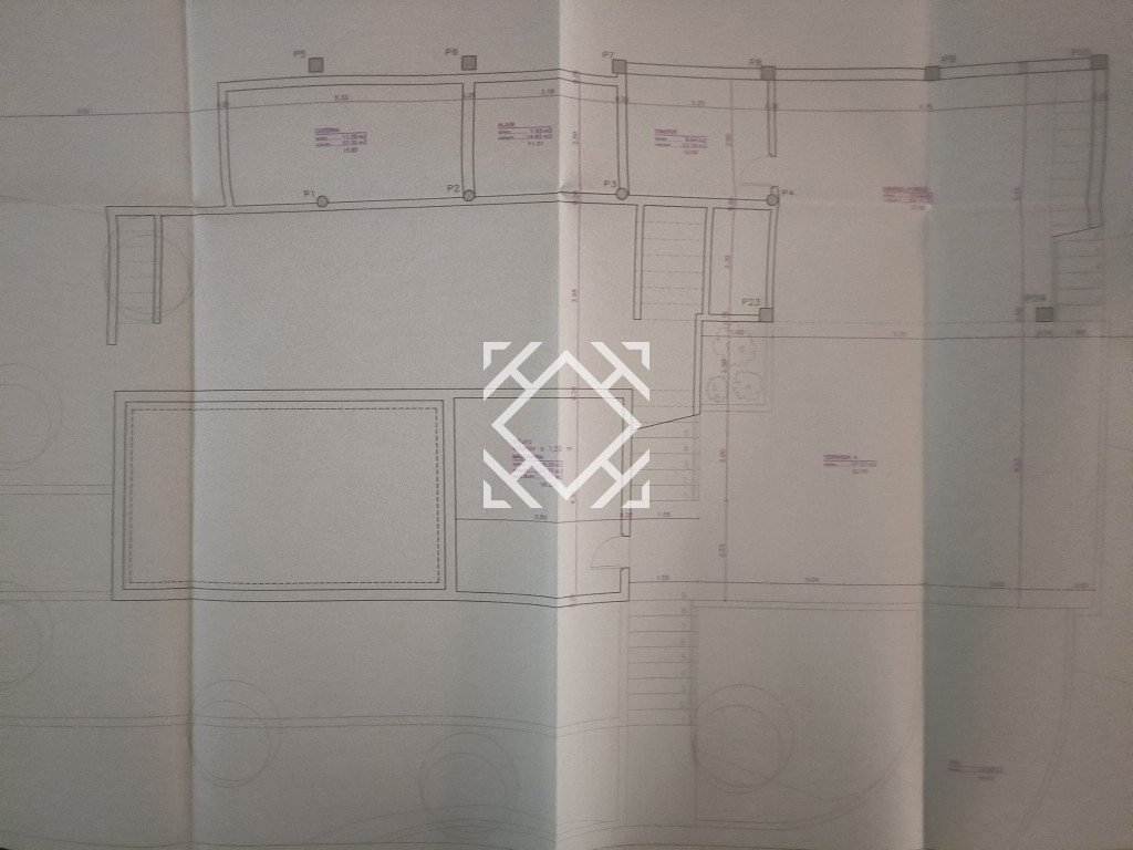 WhatsApp Image 2025-10-13 at 09.43.44